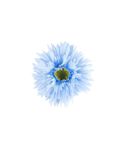 Gerbera jamesonii Flower Alligator Clip 11cm