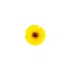 Gerbera Jamesonii Flower Hairclip 7cm