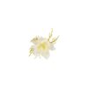 Anemone Flower Hairclip 6cm