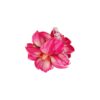Water Lily Flower Alligator Clip 8cm