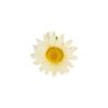 Peony Flower Hairclip 10cm