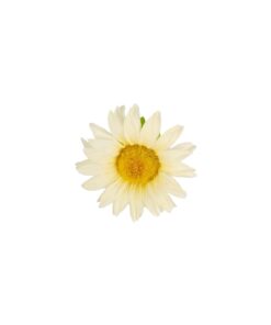 Peony Flower Hairclip 10cm