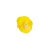 Phalaenopsis orchid Flower Alligator Clip 7cm