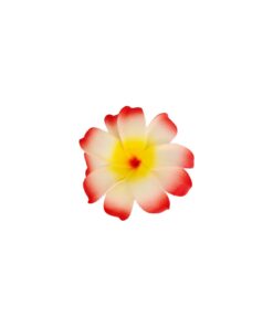 Plumeria Flower Hairclip 10cm