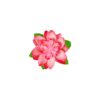 Water Lily Flower Hairclip 10cm
