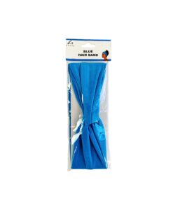 Blue Hair Band