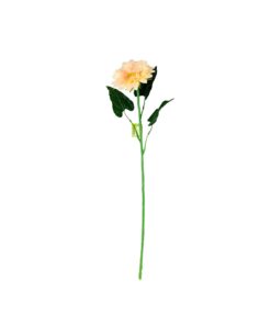 Peach Single Gerbera 73cm