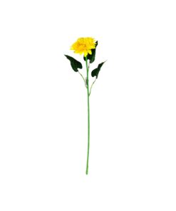 Yellow Single Gerbera 73cm