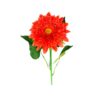 Orange Single Gerbera 73cm