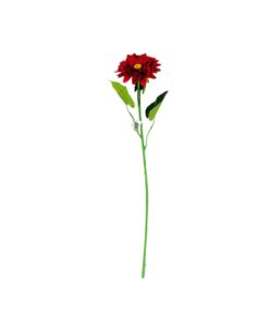 Alternative view of Red Single Gerbera 73cm