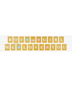 Alternative view of Boy or Girl we love you Banner 15x11cm 21 cards