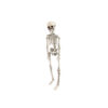 White Skeleton 42cm