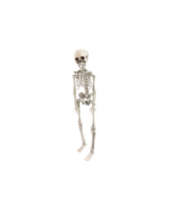White Skeleton 42cm