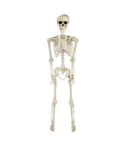 White Skeleton 170cm