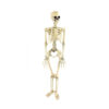 White Skeleton 88cm