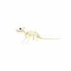 Plastic Skeleton Rat 4 x 34 x 4cm
