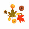 Golden Fall Pumpkin Set 8pc