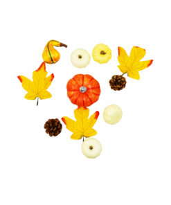 Golden Fall Pumpkin Set 11pc