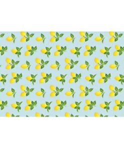 Wrapping Paper Assorted 70cm x 5m