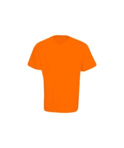 Orange T-Shirt For Adult Size M