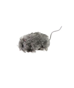 Rat 20cm