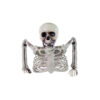 Half Skeleton 20cm