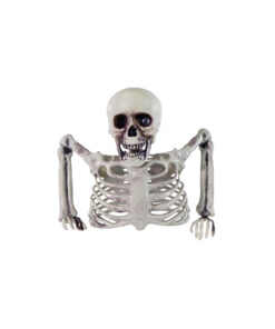 Half Skeleton 20cm