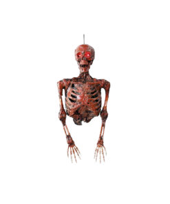 Hanging Half Skeleton Mummified 88cm