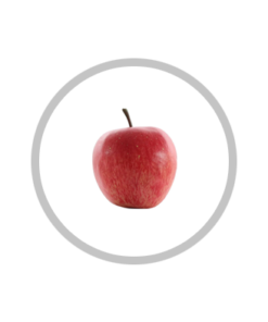 Artificial Fruit & Veges
