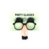 Party Glasses with Nose