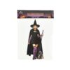 Halloween Witch Set Adult