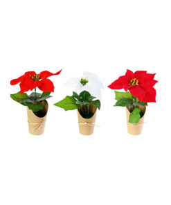 Mini Flocked Poinsettia Pot Assorted 21cm