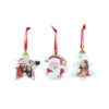 Hanging Photo Ornament Assorted 8cm