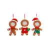 Hanging Gingerbread Photo Decoration Assorted 13cm