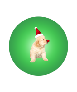 Christmas Pet Costumes