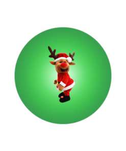 Reindeer
