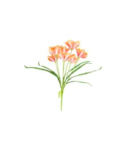 multi color Artificial Magnolia 7 Heads 50cm Assorted - Image 4