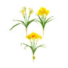 multi color Artificial Narcissus 5 Heads 46cm Assorted