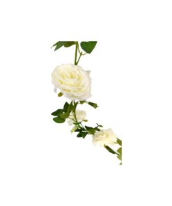 Alternative view of White Rose Vine 190cm