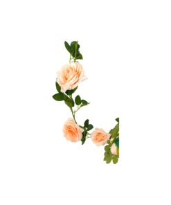 Alternative view of Peach Rose Vine 190cm