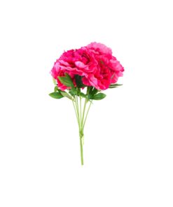 Hot Pink Peony Bunch 7 Heads 53cm
