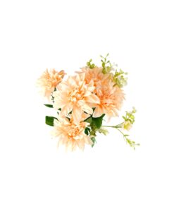 Alternative view of Peach Dahlia Bunch 11 Heads 48cm