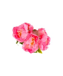 Alternative view of Pink Artificial Peony 5 Heads 44cm